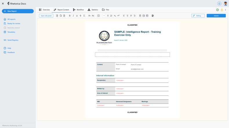 Screenshot of a blank report with an example title